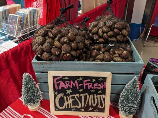 2lb Large Chestnuts, Sold in Mesh Bag